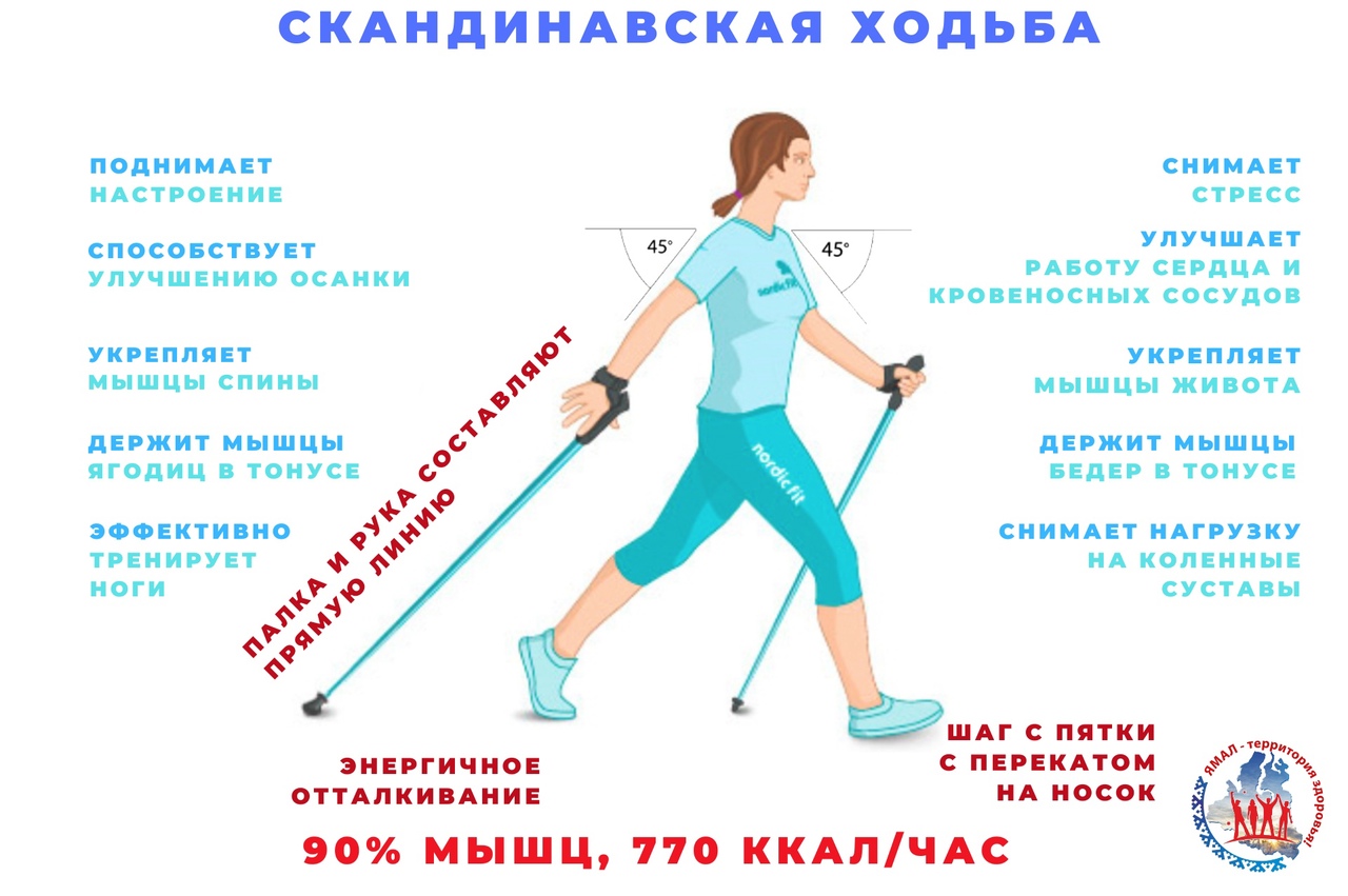 Скандинавская ходьба презентация по физкультуре